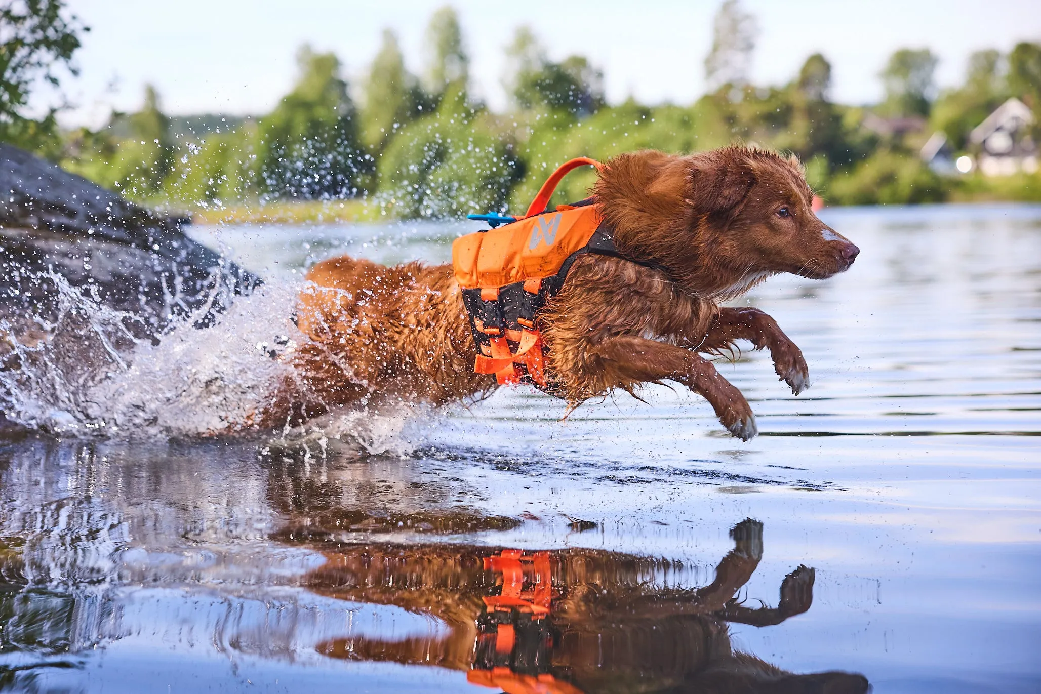 Non-Stop Dog Wear: Protector Life Jacket