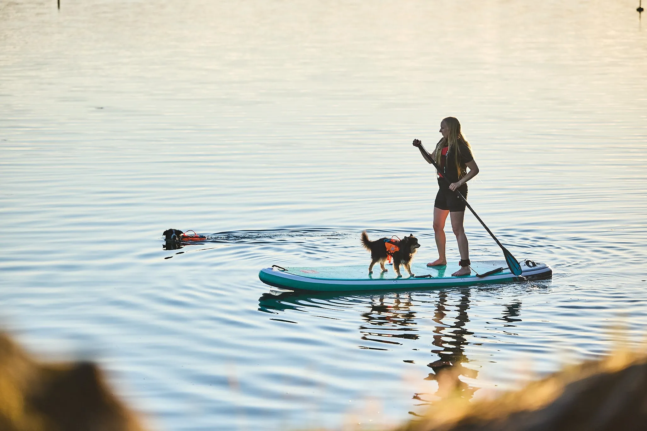 Non-Stop Dog Wear: Protector Life Jacket