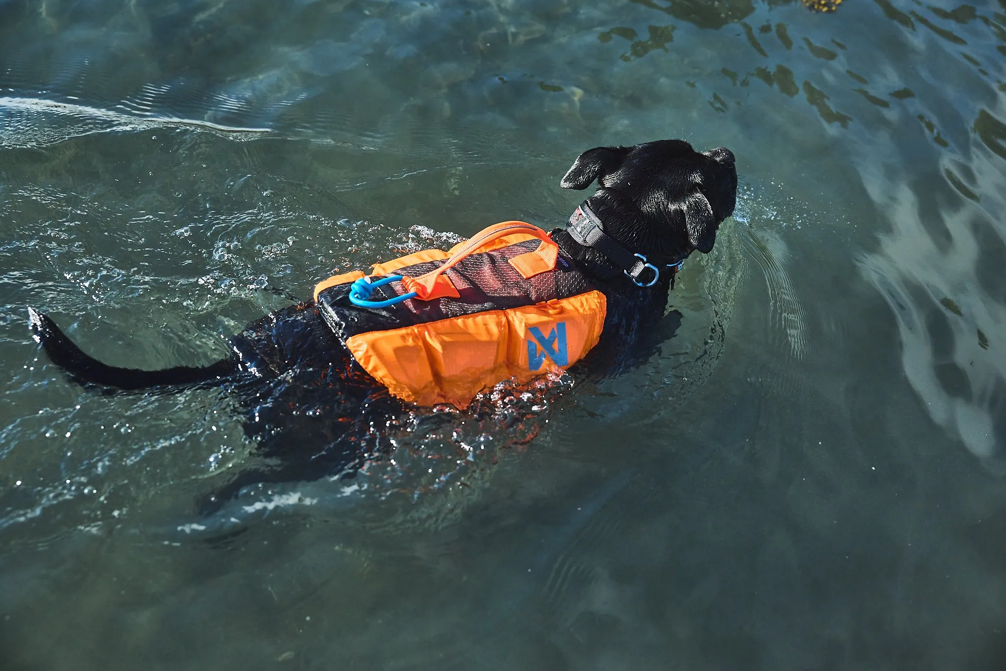 Non-Stop Dog Wear: Protector Life Jacket