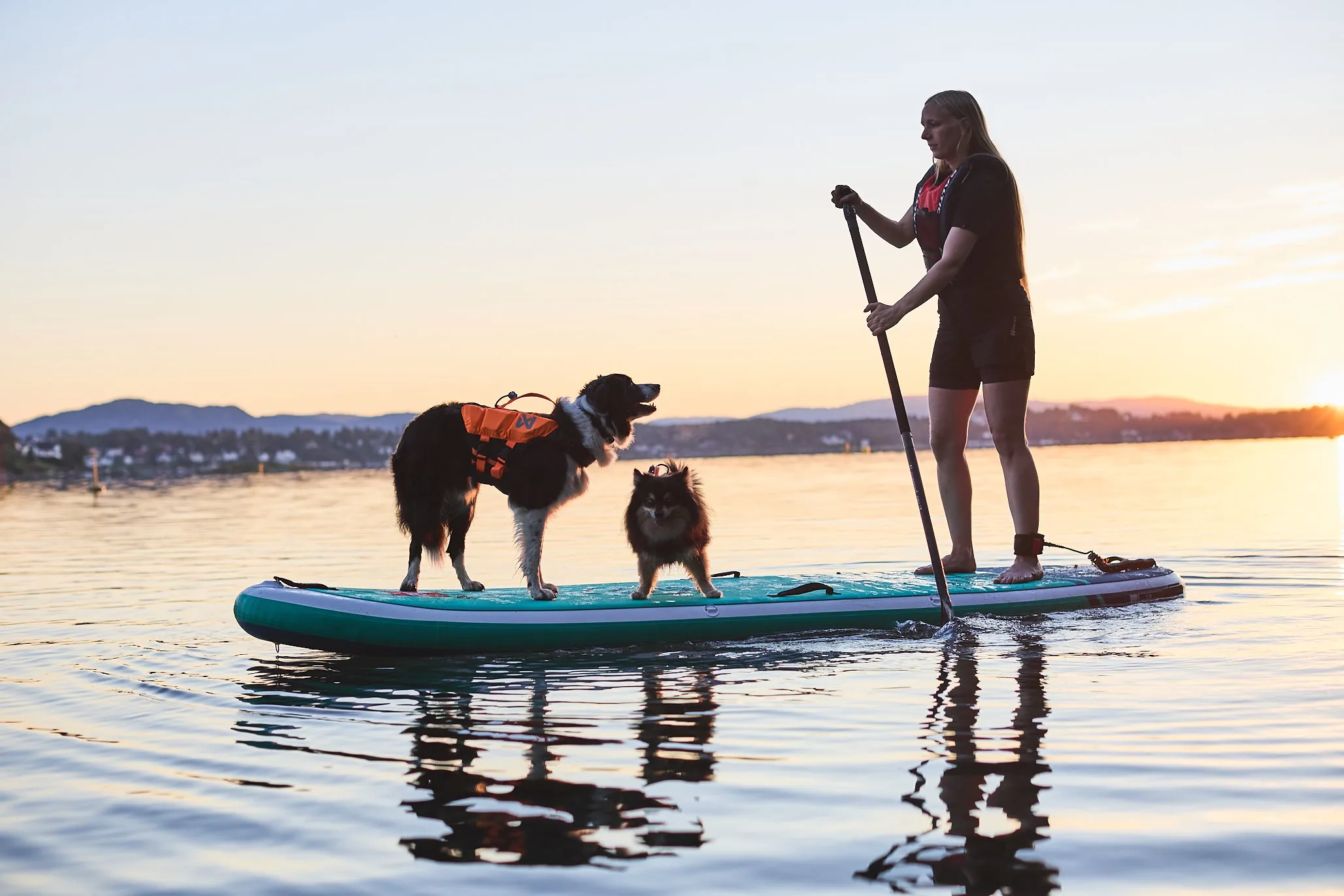 Non-Stop Dog Wear: Protector Life Jacket