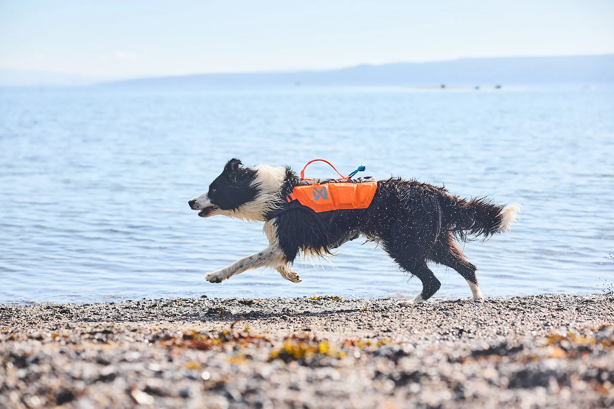 Non-Stop Dog Wear: Protector Life Jacket