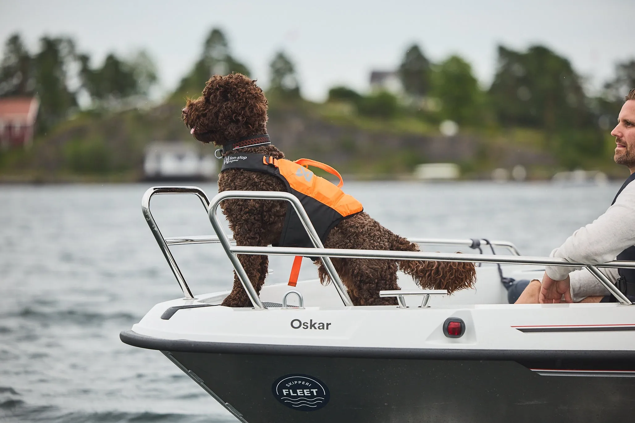 Non-Stop Dog Wear: Protector Life Jacket