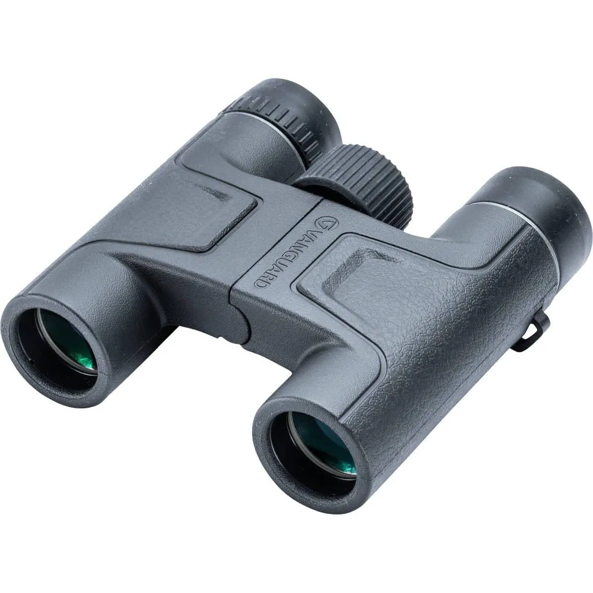 Vanguard Vesta 8x25 binocular